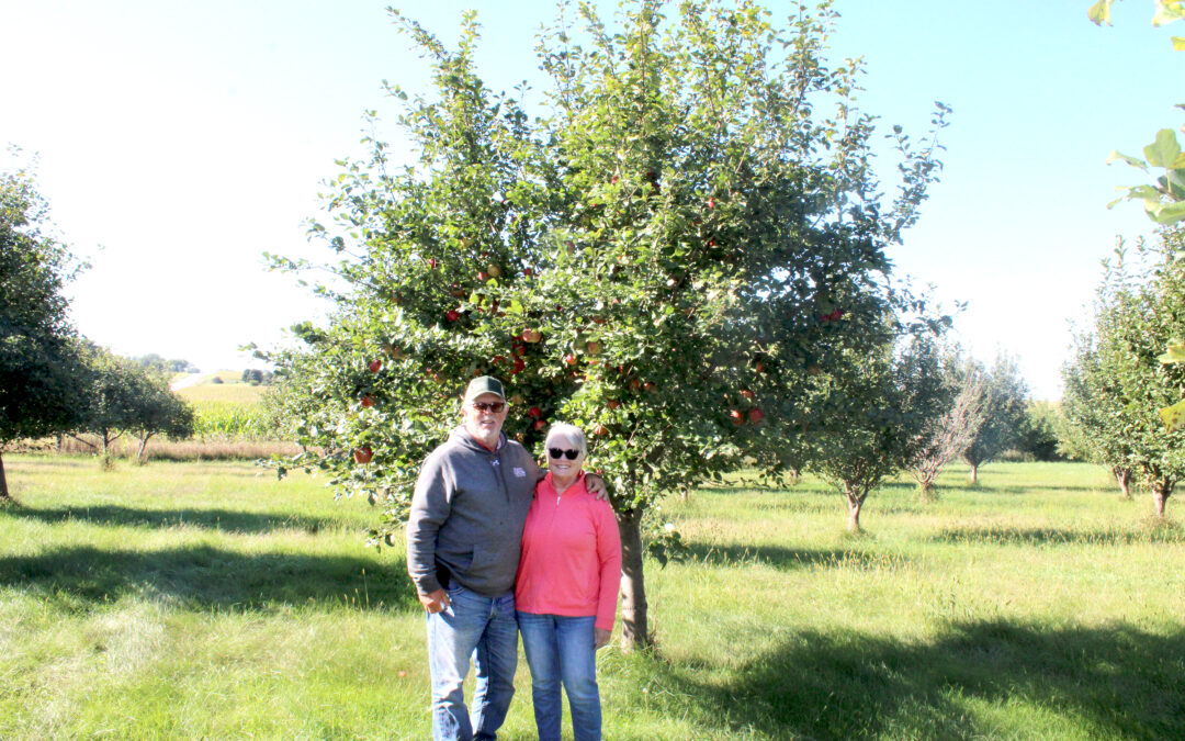 Ripe harvest and rich history