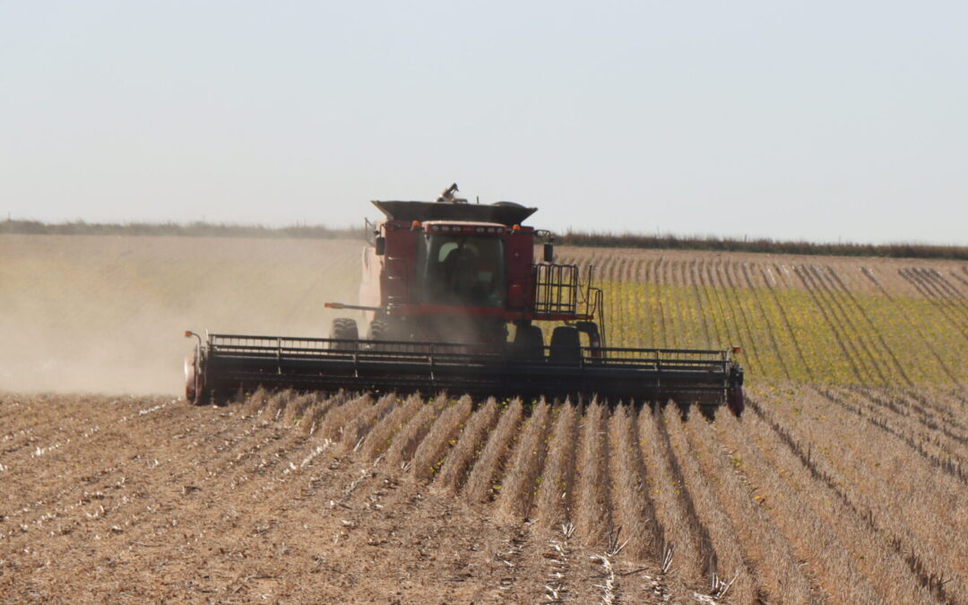 Bringing in the Harvest